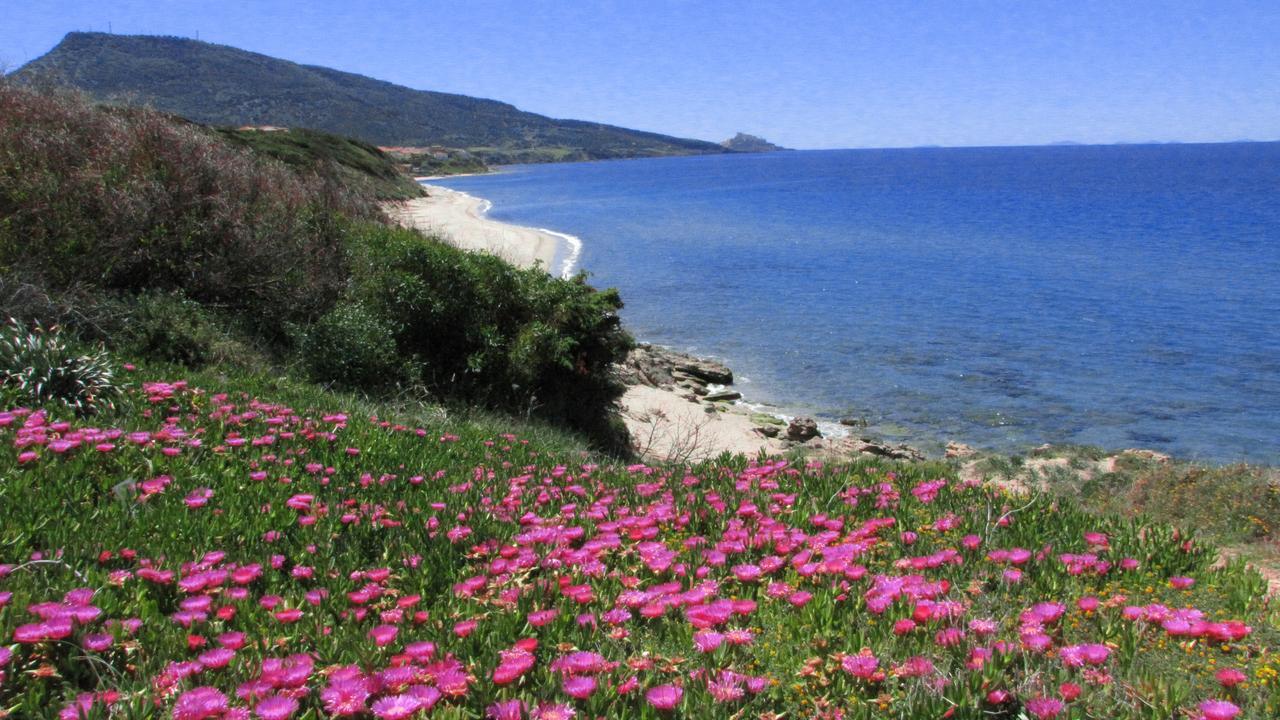 Residenza Sul Mare Aparthotel Valledoria  Buitenkant foto
